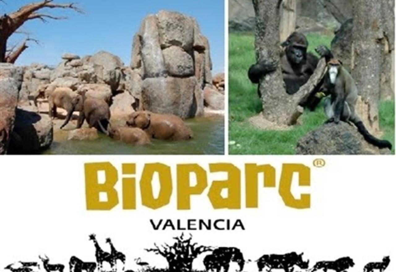 Sun Sea And Culture In Valencia 아파트 외부 사진